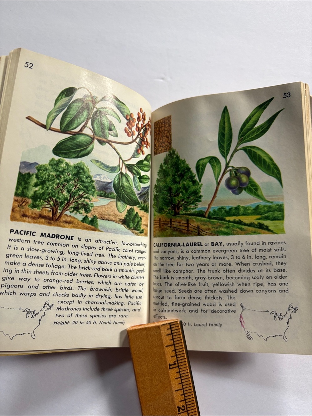Compact field guide - Picture 3 of 8